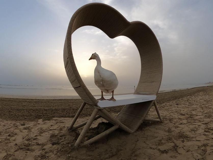 Hotel Caravel ماروتّا المظهر الخارجي الصورة